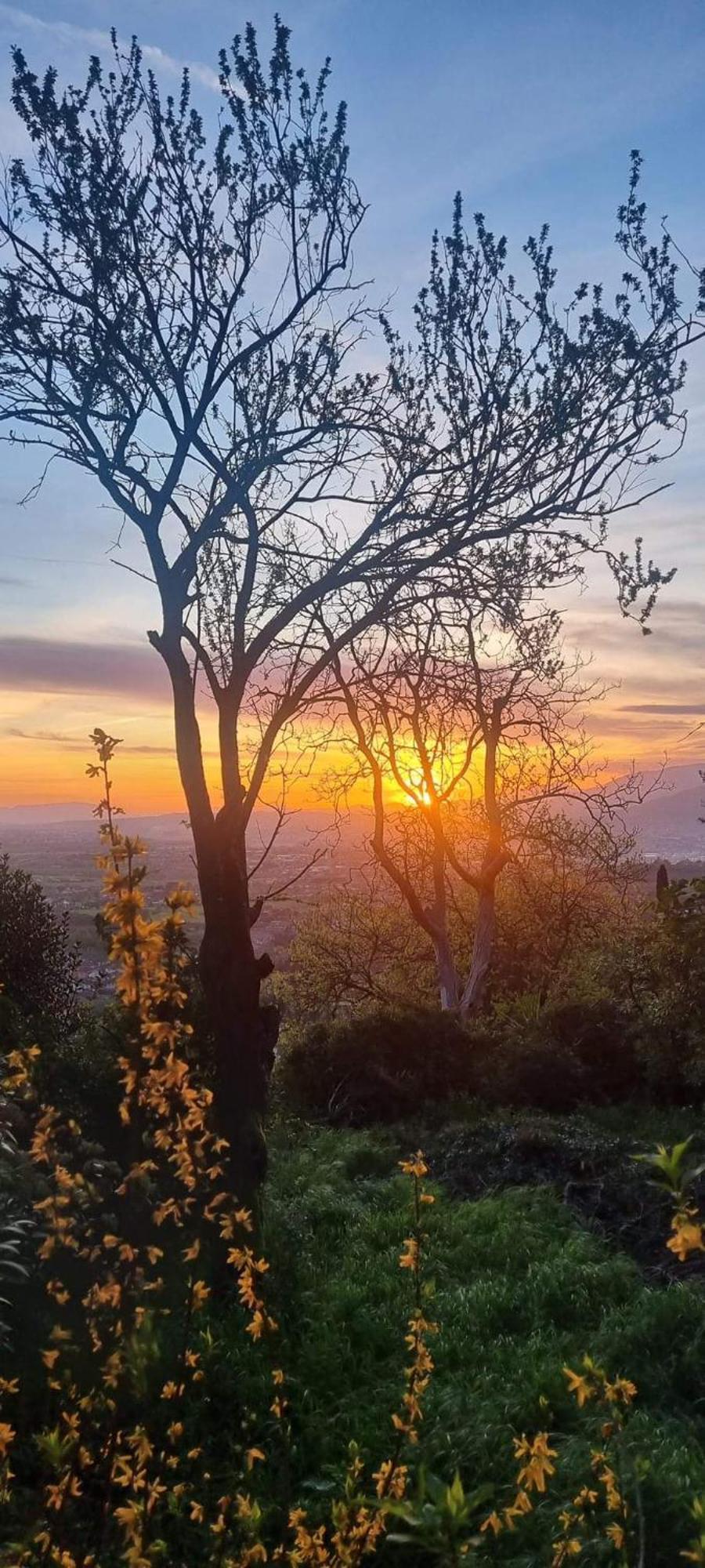 فندق La Grotta San Michele Montevettolini المظهر الخارجي الصورة